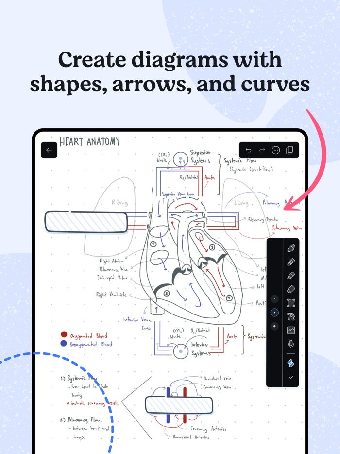 Notability Notes Audio PDF