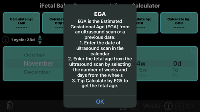 iFetal Baby Screenshot