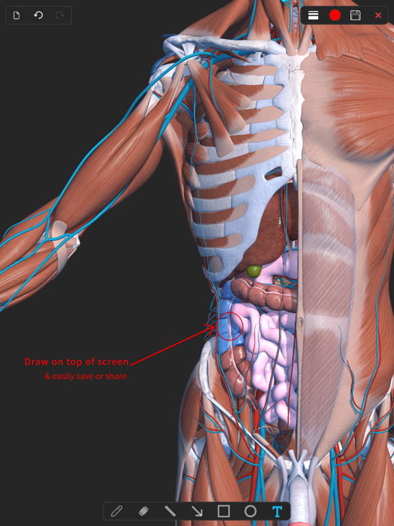 Visual Anatomy 3D - Humanのおすすめ画像6