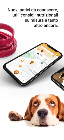 Game screenshot DogSmile! apk