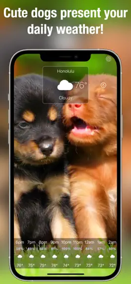 Game screenshot Dog Days Weather Live apk