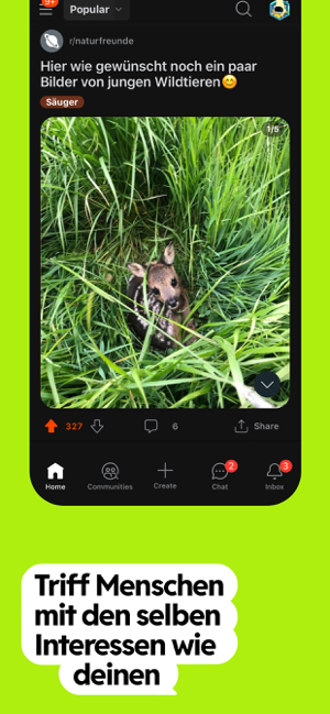 ?Reddit Screenshot