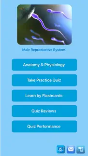 male reproductive system iphone screenshot 1