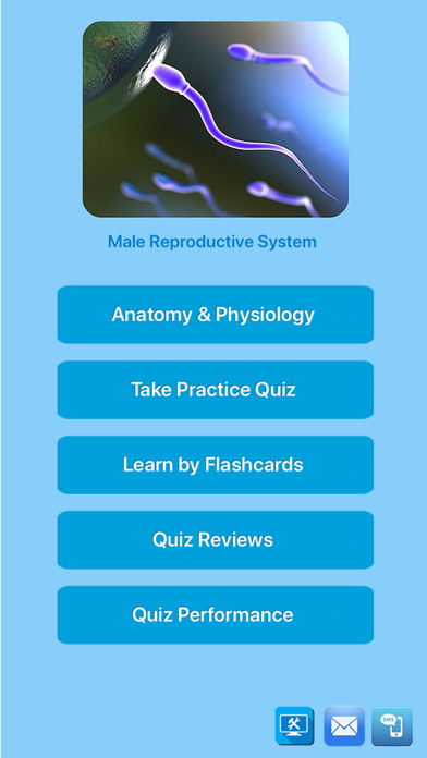 Male Reproductive System Screenshot