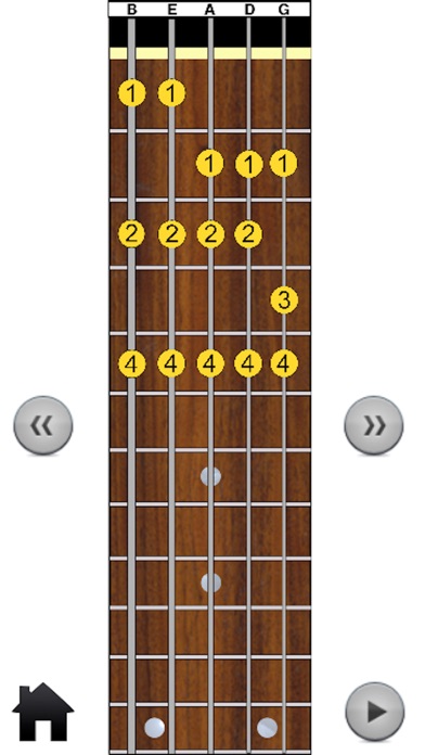 5 String Bass Modes Screenshot