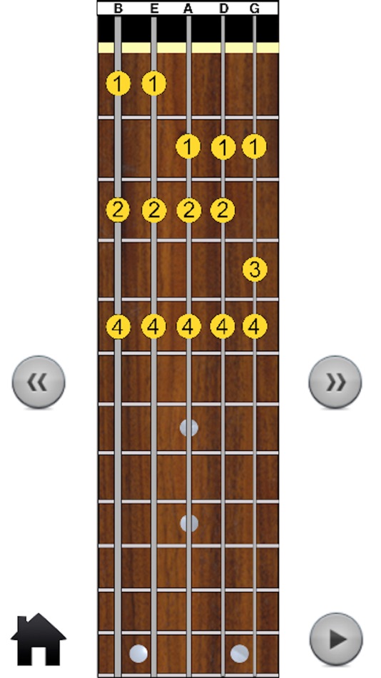 #5. 5 String Bass Modes (iOS) 由: 5 Diamond Music Services, Inc.