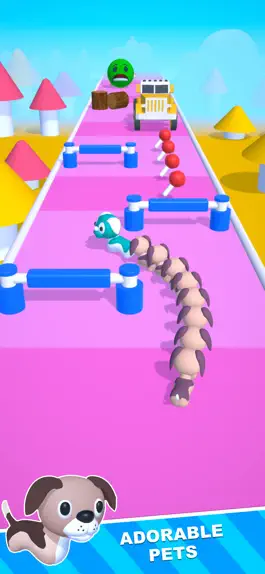 Game screenshot Pet Run 3D apk