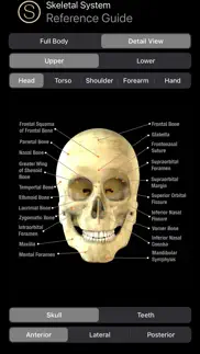 How to cancel & delete human anatomy study guide 4