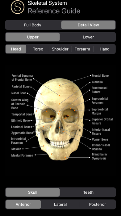 Human Anatomy Study Guide Screenshot