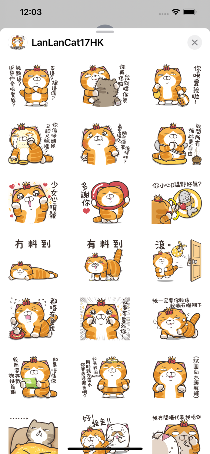 白爛貓17 三八阿花一朵花 HK