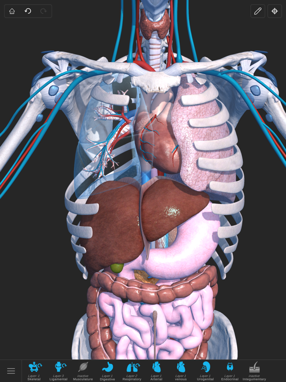 Visual Anatomy 3D - Humanのおすすめ画像5
