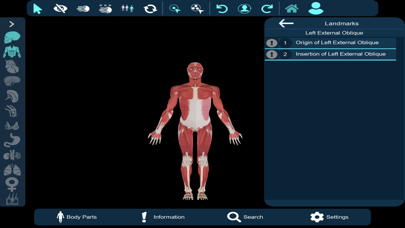 Vesalii Anatomy Inst Student Screenshot