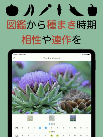 野菜栽培図鑑-家庭菜園で園芸を楽しもう-のおすすめ画像2