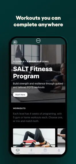 Game screenshot SALT for POTS hack