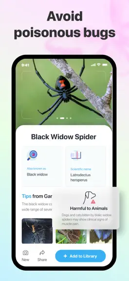 Game screenshot Picture Insect: Spiders & Bugs hack