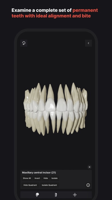 Skull, Teeth & TMJ Screenshot