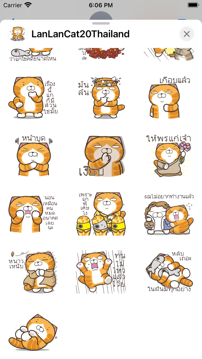 Lan Lan Cat 20 Thailand