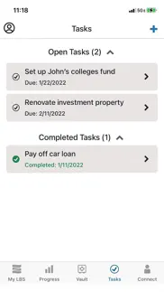 living balance sheet® iphone screenshot 3