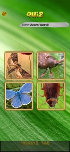 Insects and Spiders screenshot #5 for iPhone