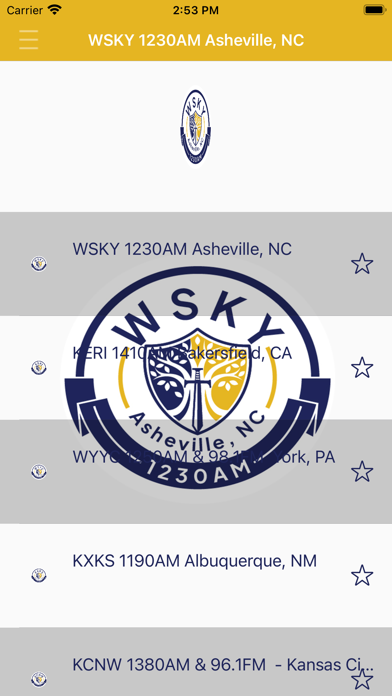 WSKY AM 1230 Radio Screenshot