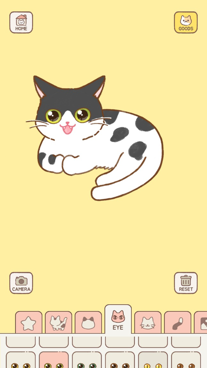 Decorating A Cats Profile