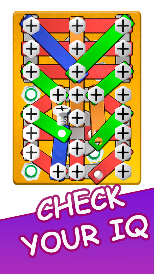 #3. Bolts Puzzle: Nuts & Screw Pin (iOS) By: Gavva Ilya