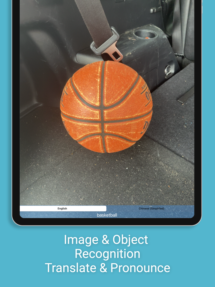 Multi Translate Voice