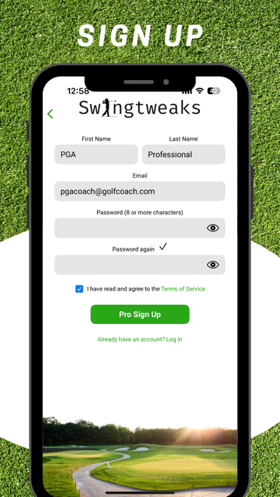 Swingtweaks Professional Screenshot