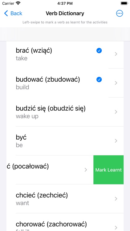 Polish Verb Blitz