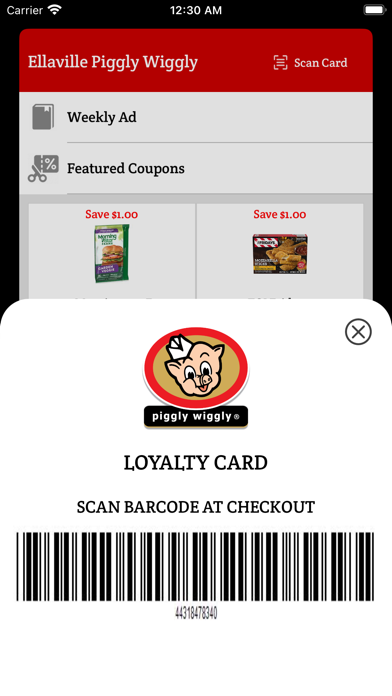 Ellaville Piggly Wiggly Screenshot