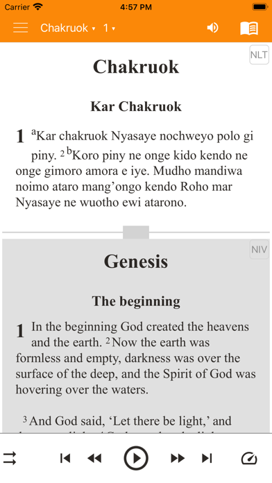 Dholuo Bible Screenshot