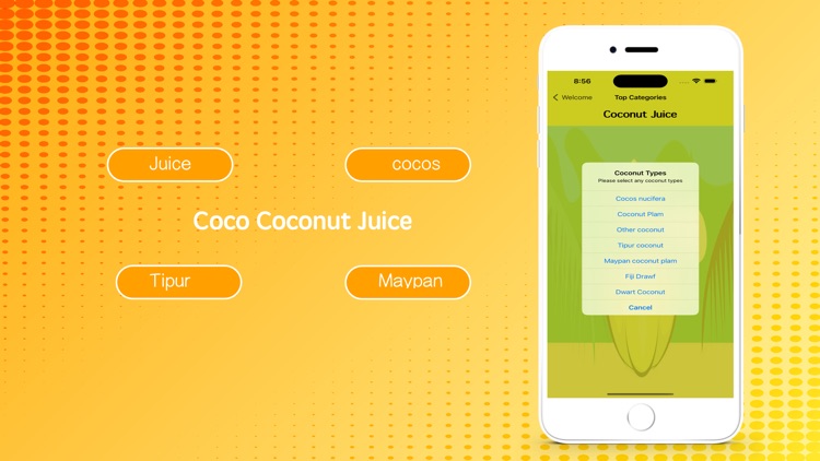 Coco Coconut Juice