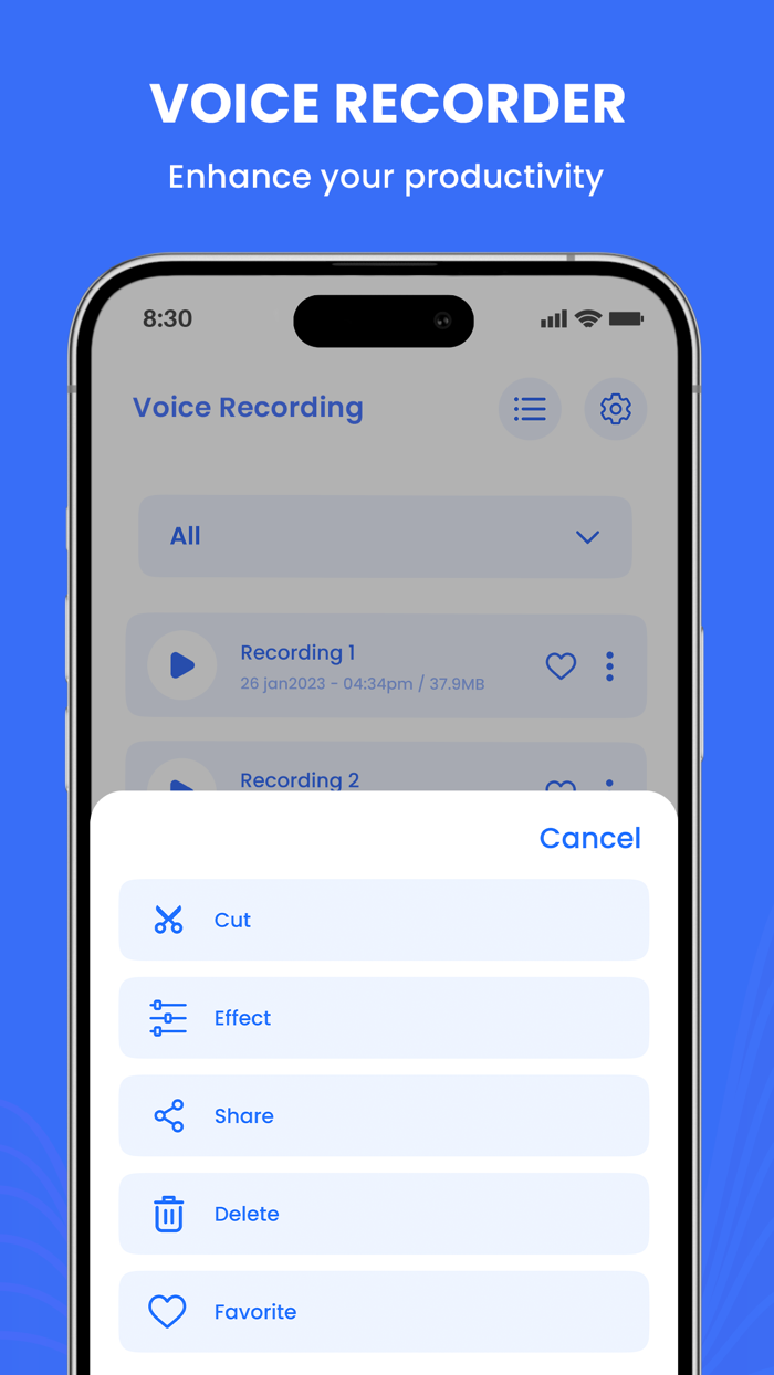 Voice Recorder and Voice Memos