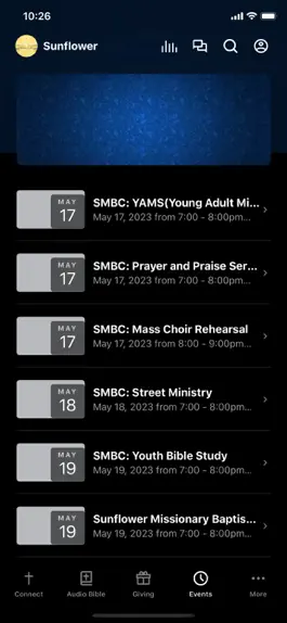 Game screenshot SunflowerBC hack