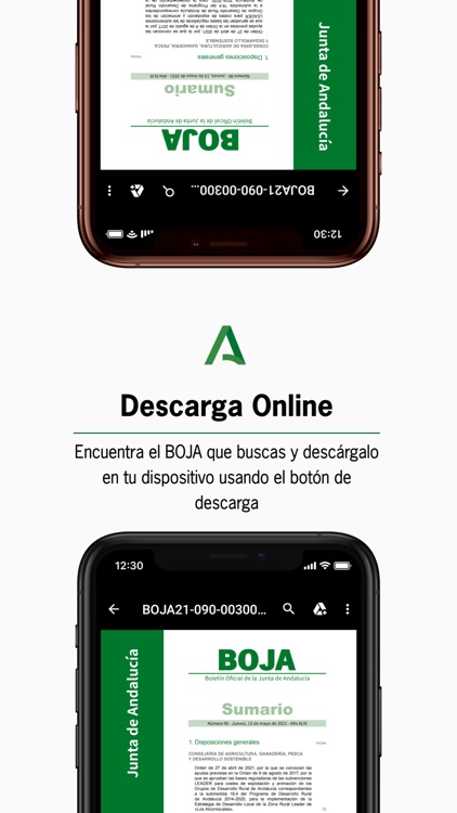 BOJA Boletín Oficial Andalucía screenshot-4