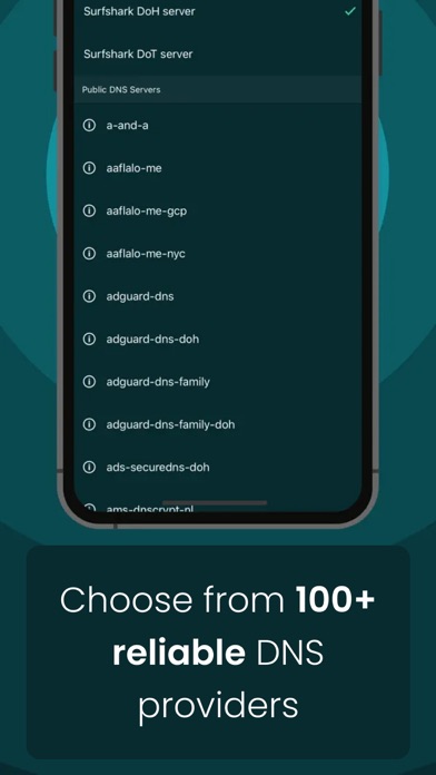 DNSチェンジャー – Trust DNS アプリのおすすめ画像2