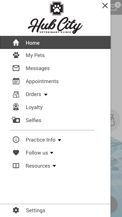 Hub City Vet Screenshot