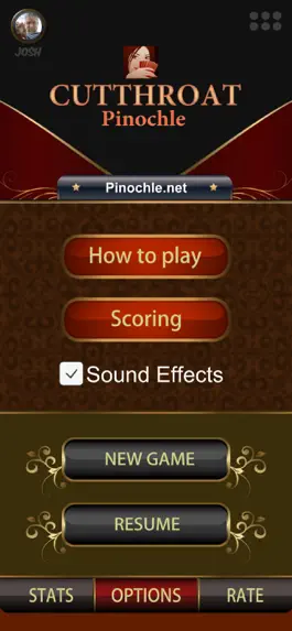 Game screenshot Cutthroat Pinochle Online apk