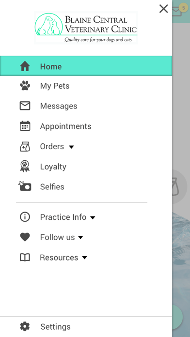 Blaine Central Vet Screenshot