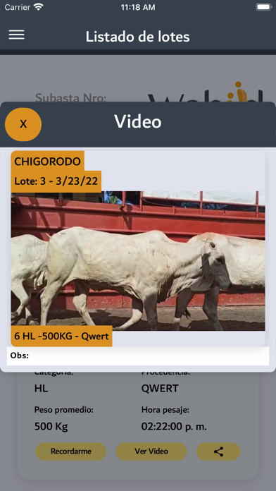 El Martillazo Screenshot