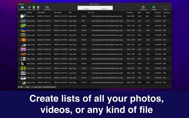 File List Export Screenshot