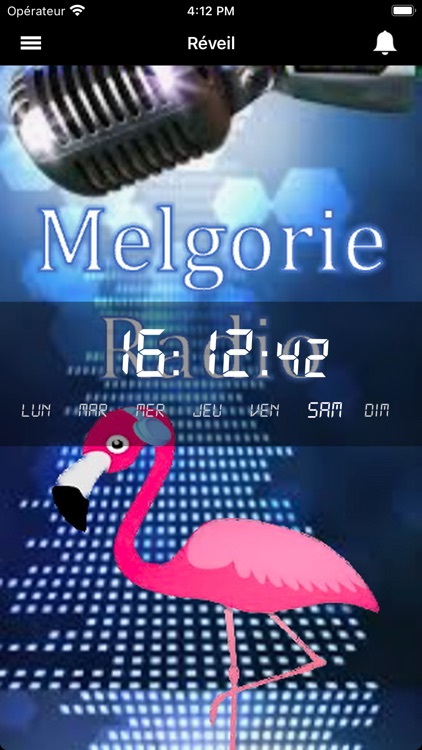 Melgorie Radio screenshot-5