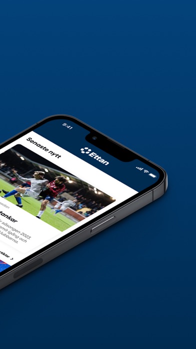 Ettanfotboll Screenshot