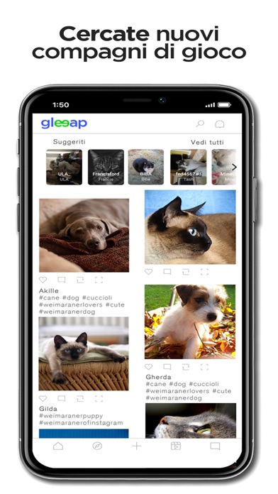 Gleeap - The pet social iPhone screenshot