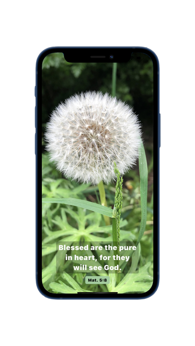 Uplift - Your Daily Scripture Screenshot