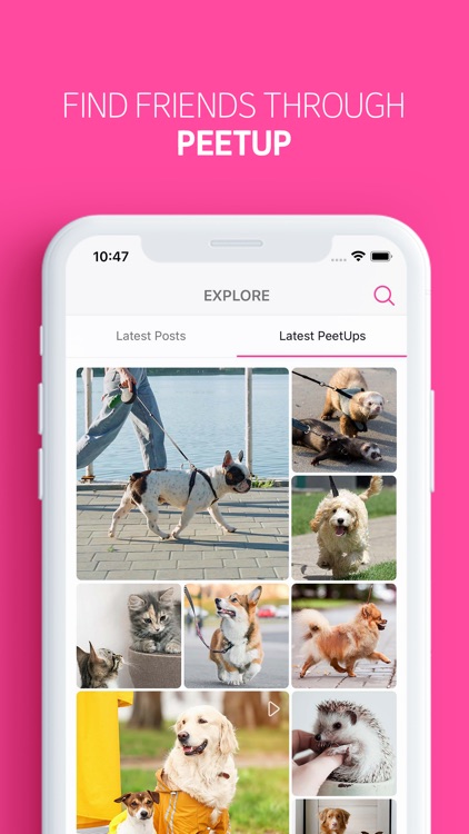 PetUP - Pet Social Network screenshot-5