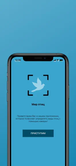 Game screenshot Мир птиц mod apk