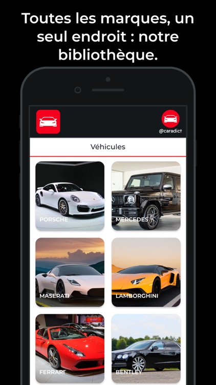 Caradict screenshot-5