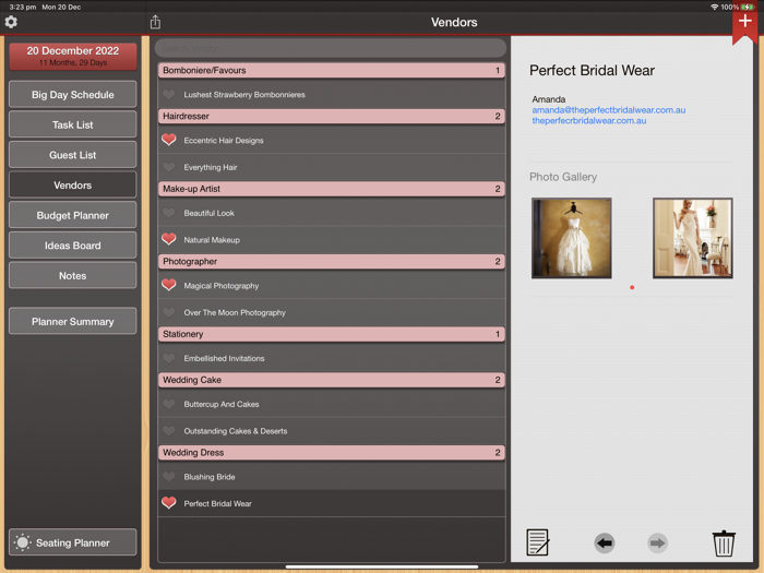 Wedding Planner Professional