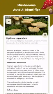 mushroom id : identifier, scan problems & solutions and troubleshooting guide - 2